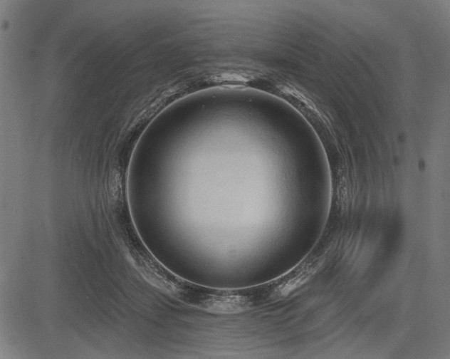 X0000083610459200702121119