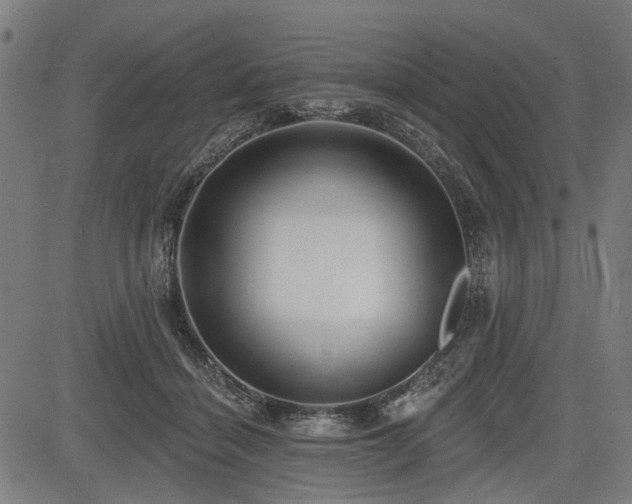 X0000083610460200702121119