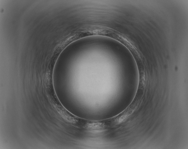 X0000083610461200702121119