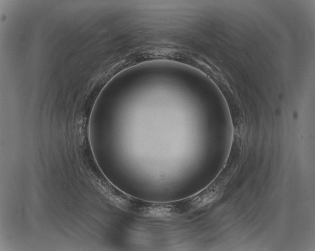 X0000083610462200702121119