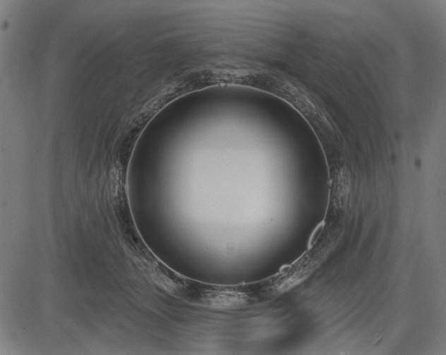 X0000083610463200702121119