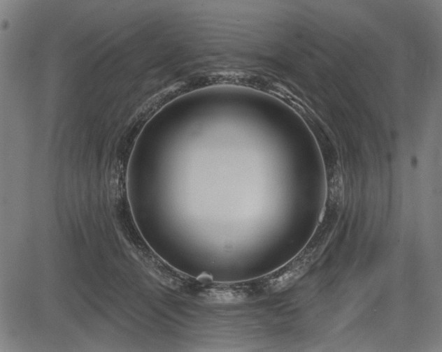 X0000083610464200702121119