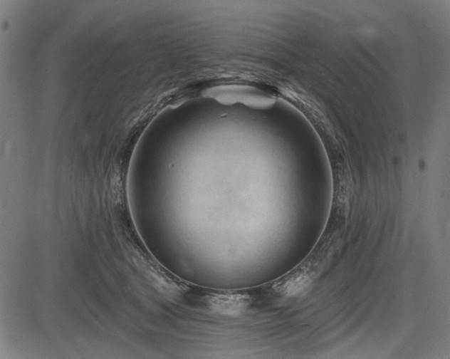 X0000083610465200702121119