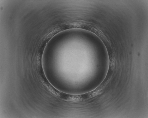 X0000083610466200702121119