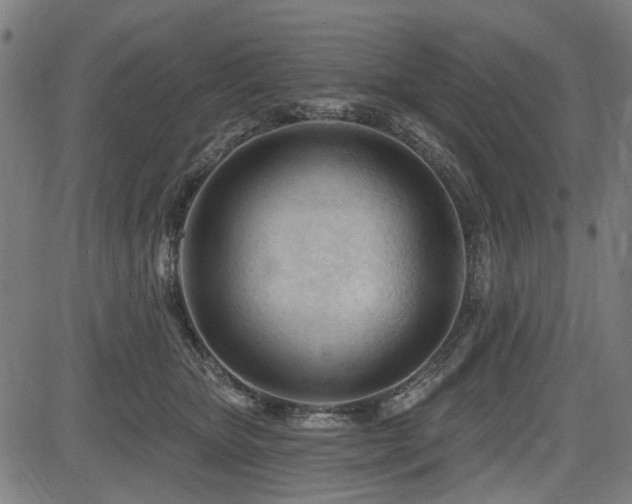 X0000083610467200702121119