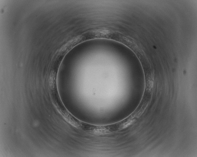 X0000083610468200702121120