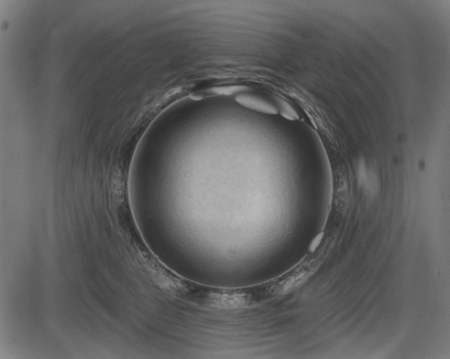 X0000083610469200702121120