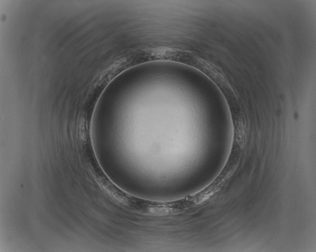 X0000083610470200702121120