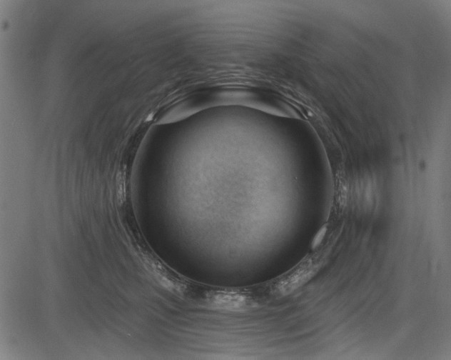 X0000083610471200702121120