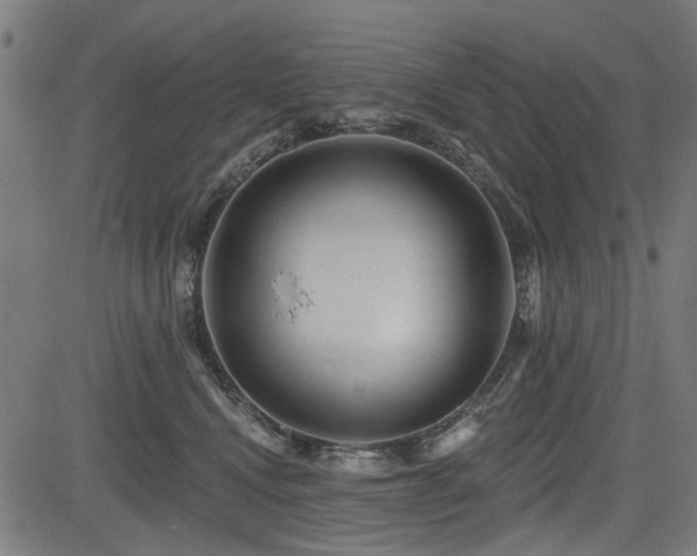 X0000083610472200702121120