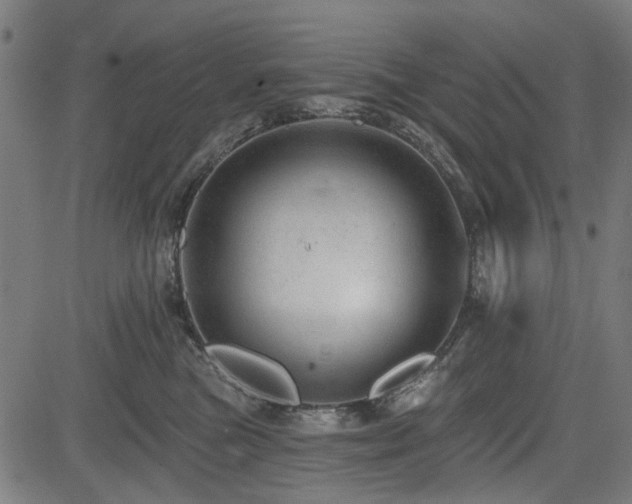 X0000083610473200702121120