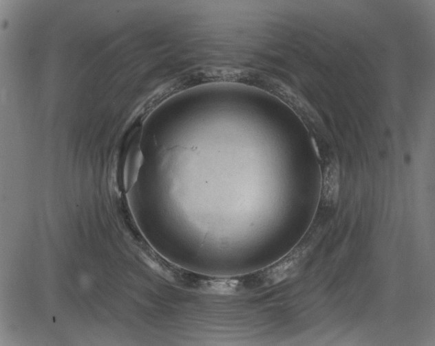 X0000083610474200702121120