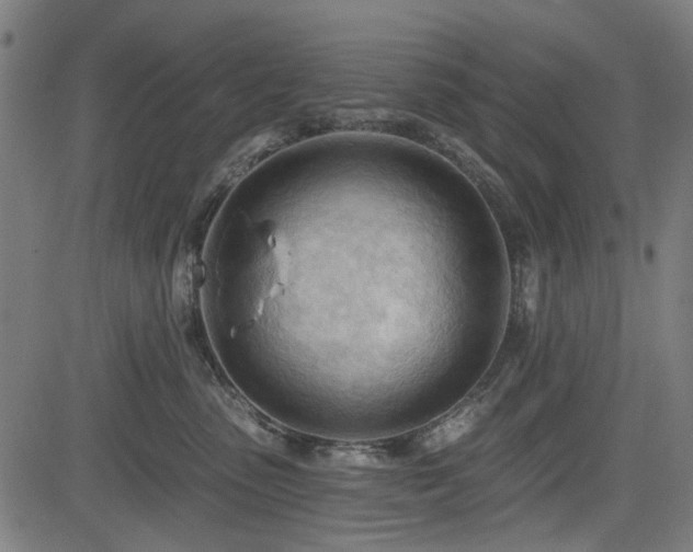 X0000083610475200702121120