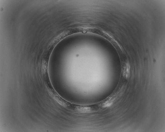 X0000083610476200702121120