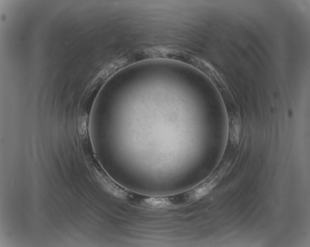 X0000083610477200702121120