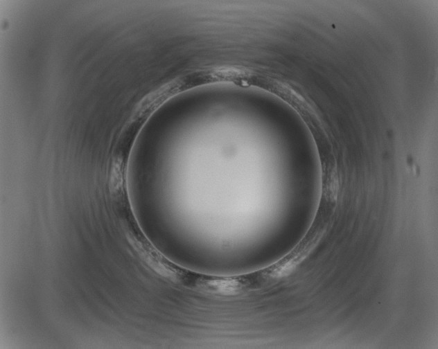 X0000083610478200702121120