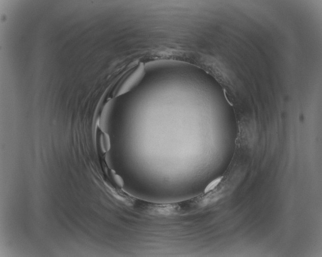 X0000083610479200702121120