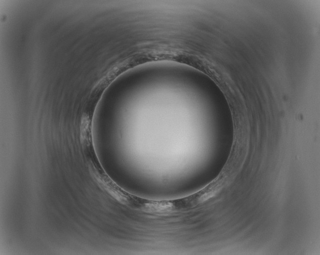 X0000083610480200702121120