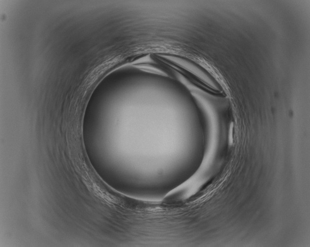 X0000083610481200702121119