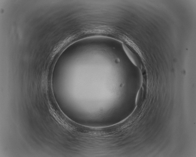 X0000083610482200702121119