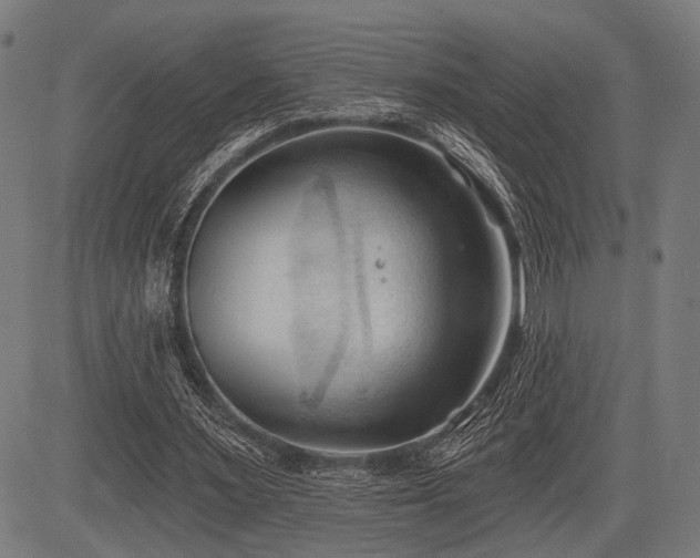 X0000083610483200702121119