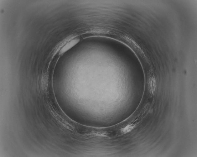 X0000083610484200702121119