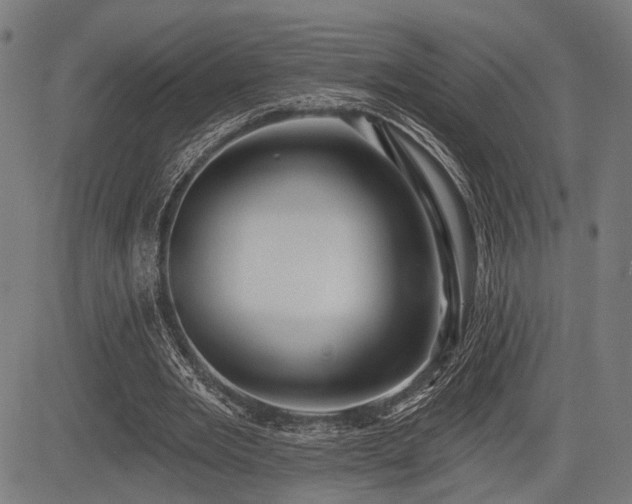 X0000083610485200702121119