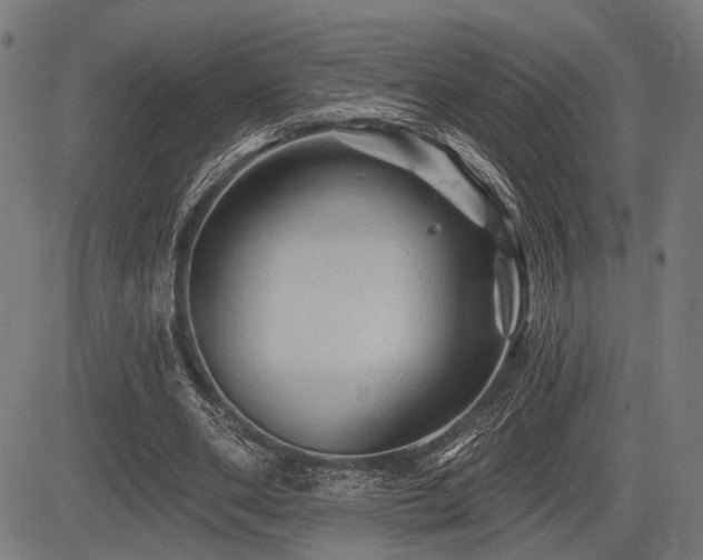 X0000083610486200702121119