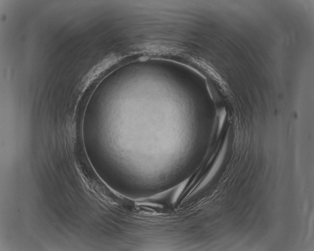 X0000083610488200702121119