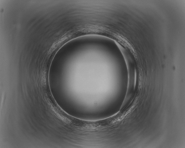 X0000083610489200702121119