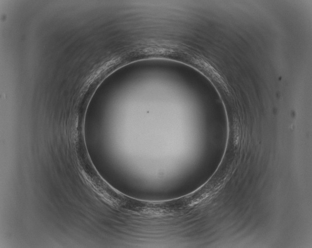 X0000083610490200702121119