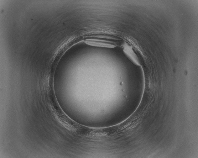 X0000083610491200702121119