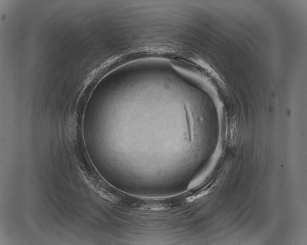 X0000083610492200702121119