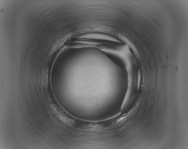 X0000083610493200702121119