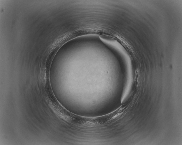 X0000083610494200702121119