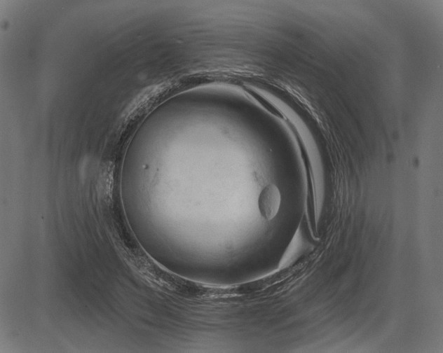 X0000083610495200702121119