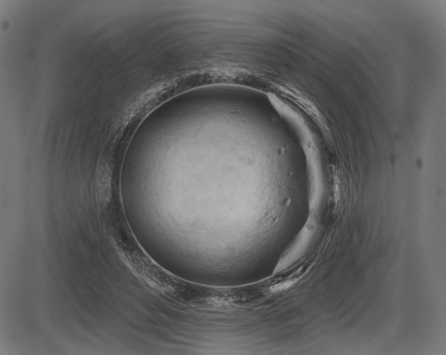 X0000083610496200702121119