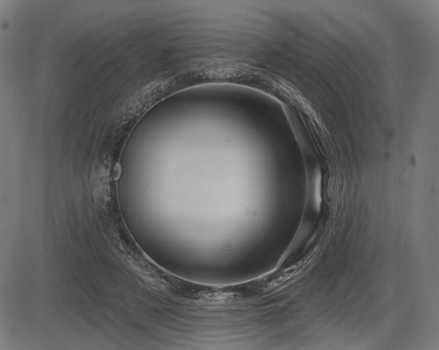 X0000083610497200702121119