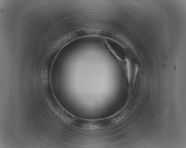 X0000083610498200702121119