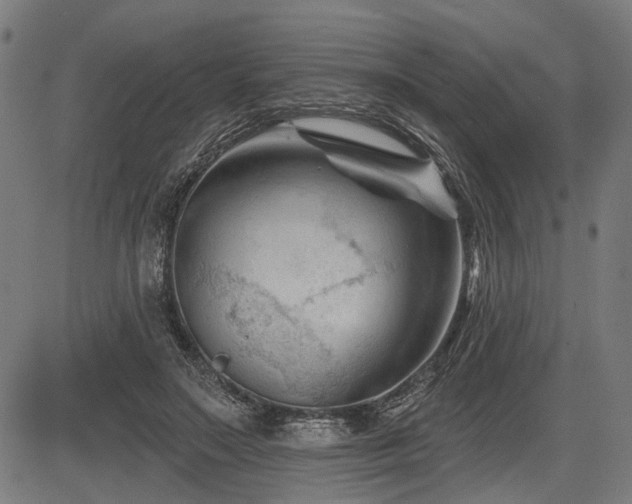 X0000083610499200702121119