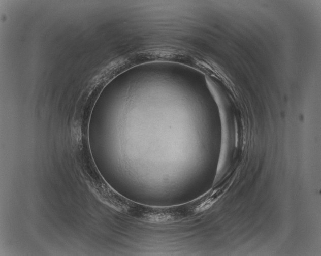 X0000083610500200702121119