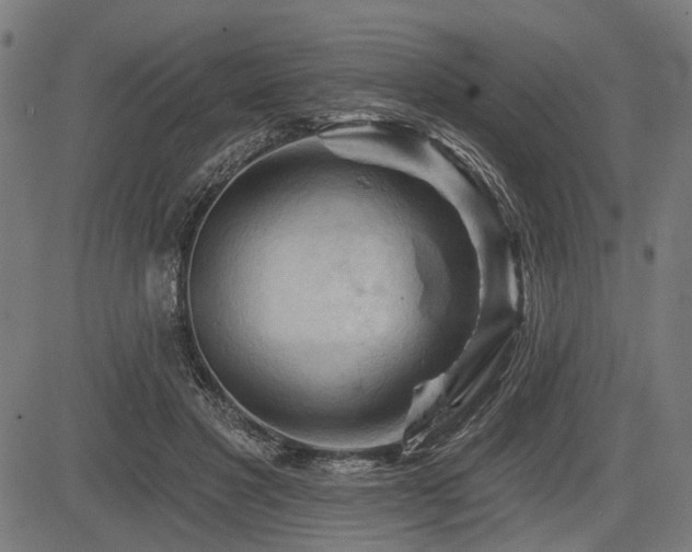 X0000083610501200702121119