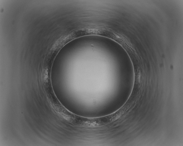 X0000083610502200702121119