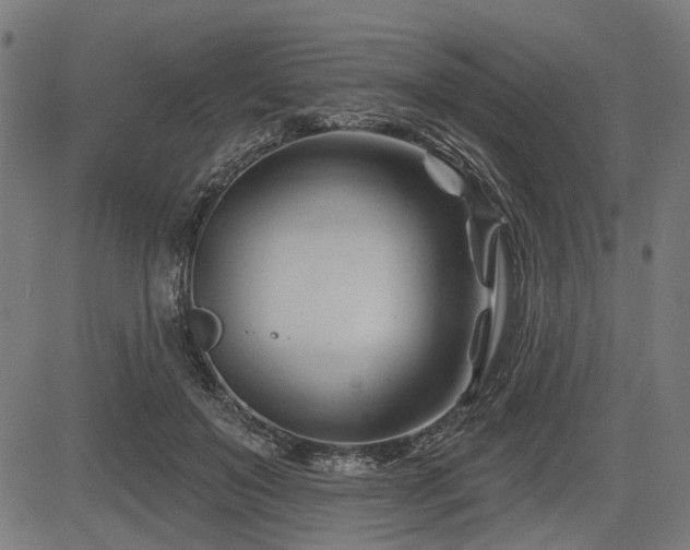 X0000083610503200702121119