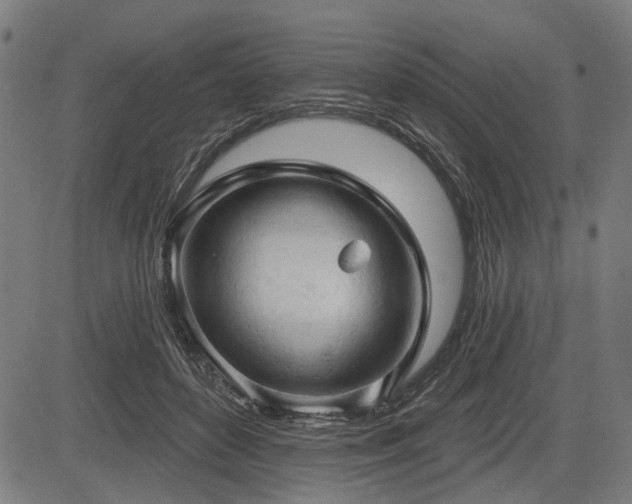 X0000083610504200702121119