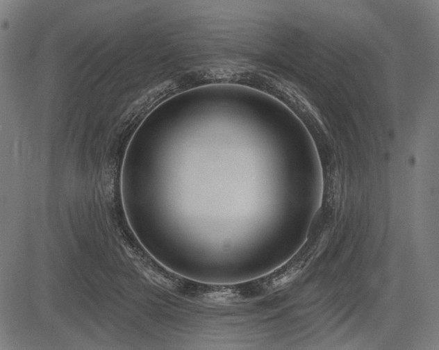 X0000083610505200702121119