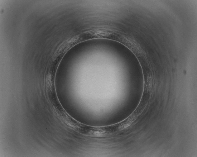 X0000083610506200702121119