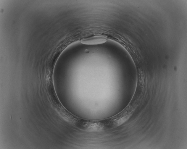 X0000083610507200702121118