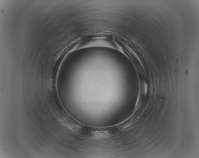 X0000083610508200702121118