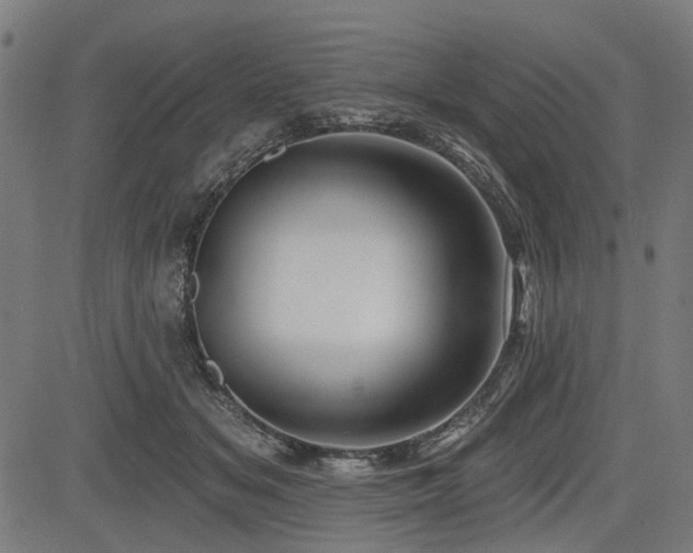 X0000083610509200702121118